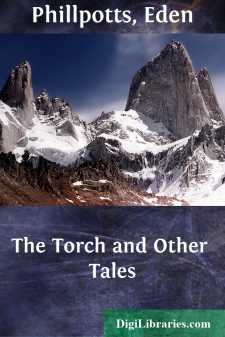 The Torch and Other Tales