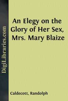 An Elegy on the Glory of Her Sex, Mrs. Mary Blaize