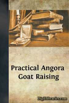 Practical Angora Goat Raising