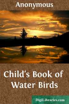 Child's Book of Water Birds