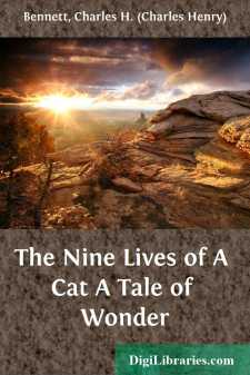 The Nine Lives of A Cat
A Tale of Wonder