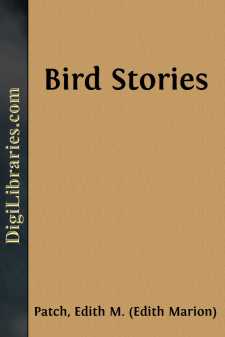 Bird Stories