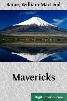 Mavericks