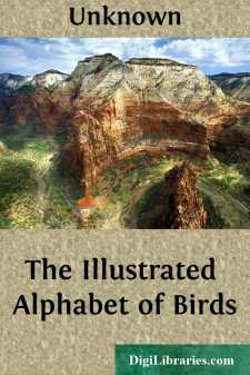 The Illustrated Alphabet of Birds