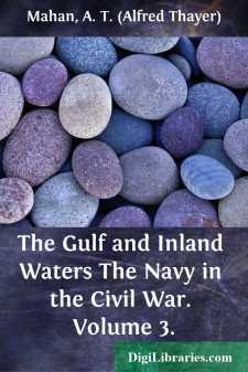 The Gulf and Inland Waters
The Navy in the Civil War. Volume 3.