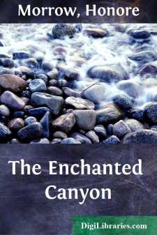 The Enchanted Canyon