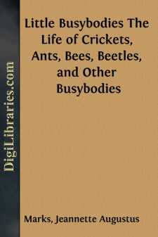 Little Busybodies
The Life of Crickets, Ants, Bees, Beetles, and...