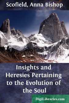 Insights and Heresies Pertaining to the Evolution of the Soul