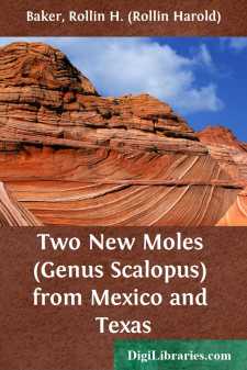Two New Moles (Genus Scalopus) from Mexico and Texas