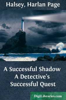 A Successful Shadow
A Detective's Successful Quest