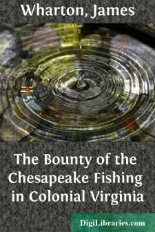 The Bounty of the Chesapeake
Fishing in Colonial Virginia