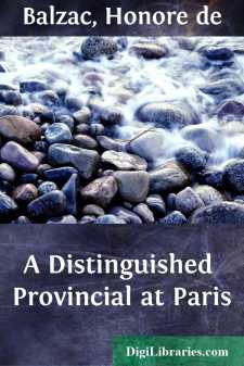 A Distinguished Provincial at Paris