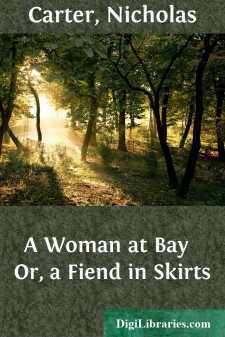 A Woman at Bay 
Or, a Fiend in Skirts
