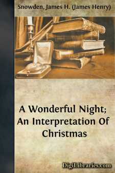 A Wonderful Night; An Interpretation Of Christmas