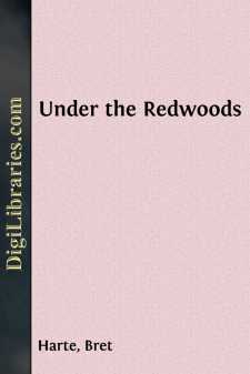 Under the Redwoods