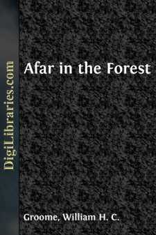 Afar in the Forest