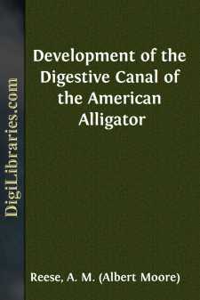 Development of the Digestive Canal of the American Alligator