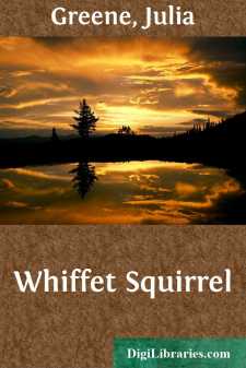 Whiffet Squirrel