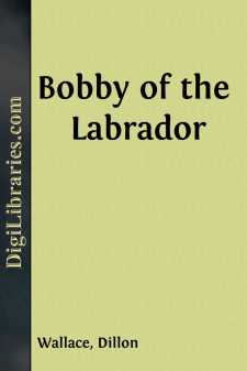 Bobby of the Labrador