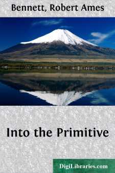 Into the Primitive