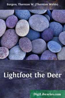 Lightfoot the Deer