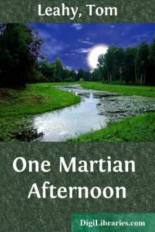 One Martian Afternoon
