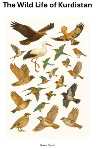 The Wild Life of Kurdistan