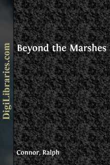 Beyond the Marshes