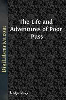 The Life and Adventures of Poor Puss