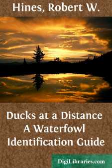 Ducks at a Distance
A Waterfowl Identification Guide