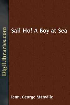 Sail Ho!
A Boy at Sea