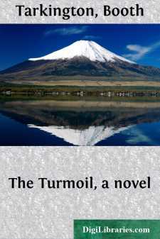 The Turmoil, a novel