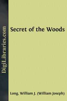 Secret of the Woods