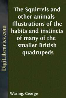 The Squirrels and other animals 
Illustrations of the habits and instincts of many of the 
smaller British quadrupeds