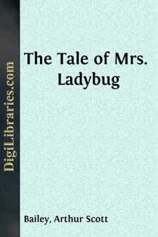 The Tale of Mrs. Ladybug