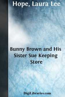 Bunny Brown and His Sister Sue Keeping Store