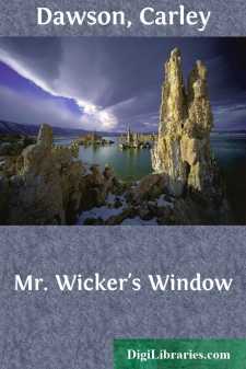 Mr. Wicker's Window
