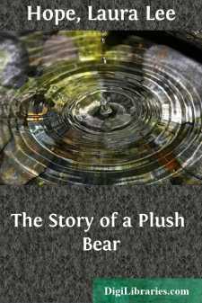 The Story of a Plush Bear