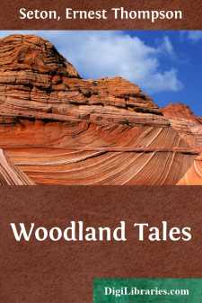 Woodland Tales