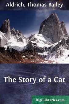 The Story of a Cat