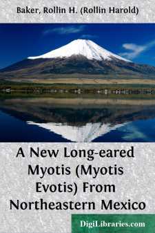 A New Long-eared Myotis (Myotis Evotis) From Northeastern Mexico