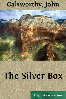 The Silver Box