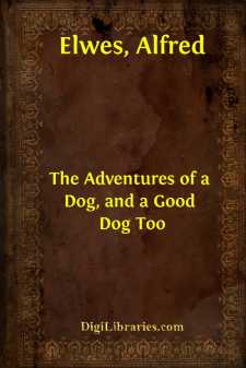 The Adventures of a Dog, and a Good Dog Too