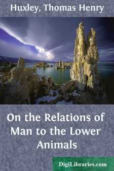 On the Relations of Man to the Lower Animals