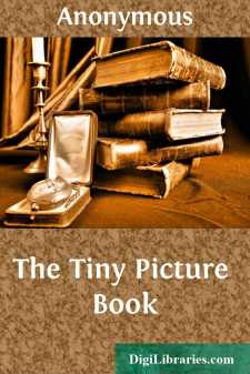 The Tiny Picture Book