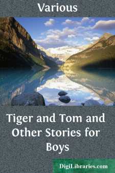 Tiger and Tom and Other Stories for Boys