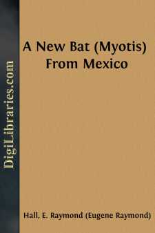 A New Bat (Myotis) From Mexico