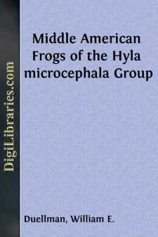 Middle American Frogs of the Hyla microcephala Group