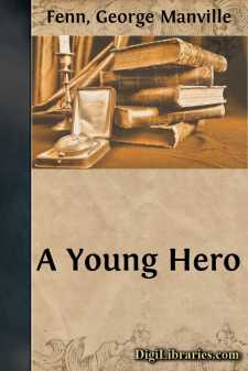 A Young Hero