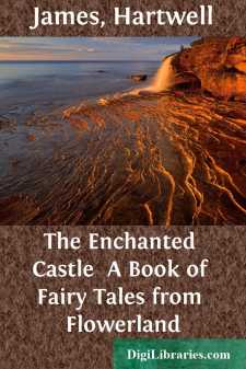 The Enchanted Castle 
A Book of Fairy Tales from Flowerland